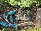  Kaohe Rd - Photo 13
