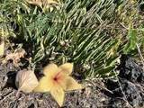  Kaohe Rd - Photo 7