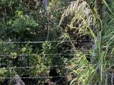  Country Club Rd - Photo 19