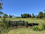  Country Club Rd - Photo 20