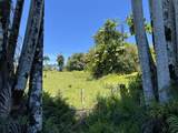  Country Club Rd - Photo 22
