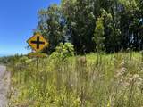  Country Club Rd - Photo 28
