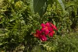 15-2693 Palani St - Photo 13