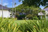 2253 Poipu Rd - Photo 24