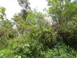  Silversword Ct - Photo 3