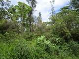  Silversword Ct - Photo 4