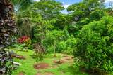 4370 Kalaheo Dr - Photo 18