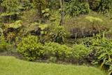 11-3059 Lehua St - Photo 3