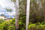 16-1188 Poouli Rd - Photo 11