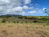  Laipo Rd - Photo 7