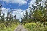  Road 9 (Koloa Maoli) - Photo 1