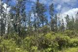  Road 9 (Koloa Maoli) - Photo 2