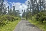  Road 9 (Koloa Maoli) - Photo 13