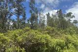  Road 9 (Koloa Maoli) - Photo 3