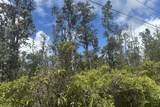  Road 9 (Koloa Maoli) - Photo 8