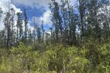  Road 9 (Koloa Maoli) - Photo 9