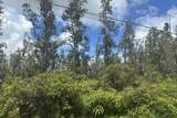  Road 9 (Koloa Maoli) - Photo 10