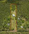 16-1087 Pulelehua Rd - Photo 26