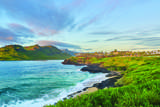 3770 Ala'oli Way - Photo 18