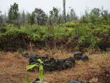  Omeka Rd - Photo 1