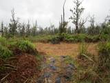  Omeka Rd - Photo 12