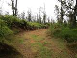  Omeka Rd - Photo 5