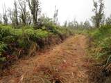  Omeka Rd - Photo 6