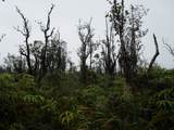  Omeka Rd - Photo 7
