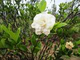  Omeka Rd - Photo 8