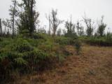  Omeka Rd - Photo 9