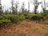  Omeka Rd - Photo 10