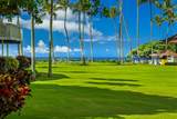 2253 Poipu Rd - Photo 23