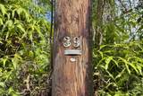  Hilo Rd - Photo 11