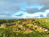5380 Honoiki Rd - Photo 2