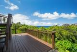 3629 Kaweonui Rd - Photo 11