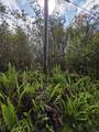 16-1437 Opeapea Rd - Photo 6
