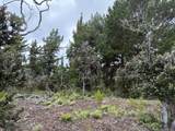  Palm Pkwy - Photo 11