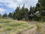  Palm Pkwy - Photo 14
