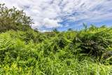  Ainalako Rd - Photo 4