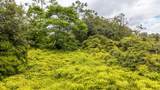  Ainalako Rd - Photo 6