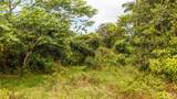  Ainalako Rd - Photo 7
