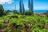 84-5084 Hawaii Belt Rd - Photo 21