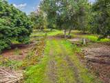 84-5084 Hawaii Belt Rd - Photo 24