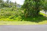  Papio St - Photo 13