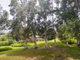  Puu Nanea St - Photo 21