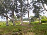  Puu Nanea St - Photo 9