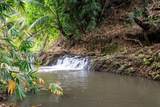6770 Koolau Rd - Photo 19