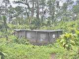 3553 Pikake Rd - Photo 6