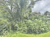 3553 Pikake Rd - Photo 8