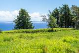  Kamalani Rd - Photo 11